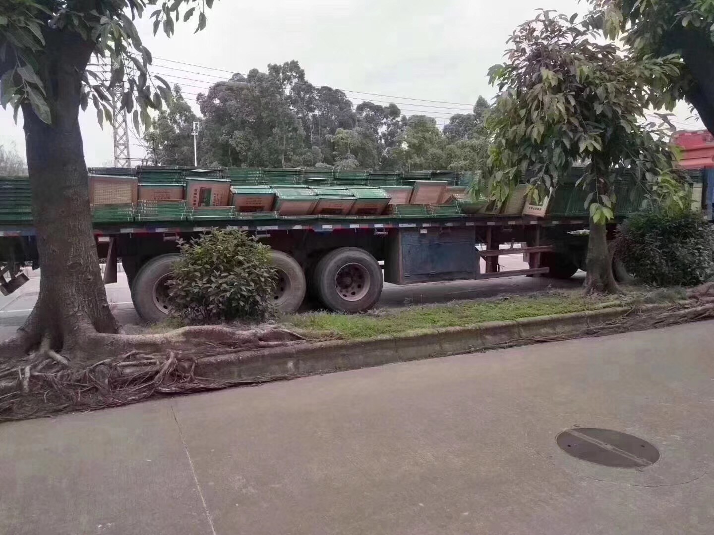 微信圖片_20190515110656.jpg 微信圖片_20190515110656.jpg